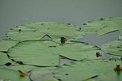 源代码泄露表明：《GTA6》男女主角之间将有成人场景